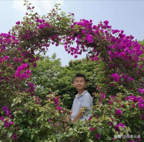 開(kāi)滿(mǎn)丁香花的校園作文750字六級