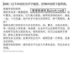 我愛(ài)我的校園作文300字三年級,我愛(ài)我的校園作文,我愛(ài)校園作文500字
