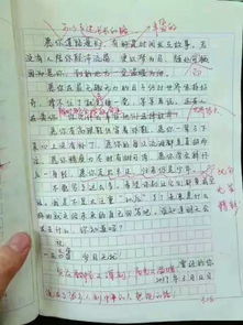 校園是一種風(fēng)景500字作文開(kāi)頭結尾
