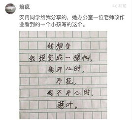 作文,寫(xiě)一篇,校園環(huán)境