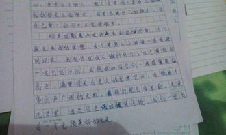 感悟校園600字作文大全