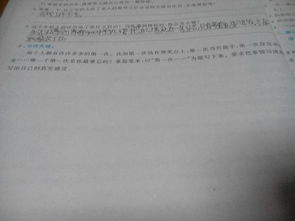 校園囧事作文450字