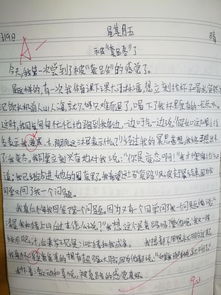 校園合作共成長(cháng)作文