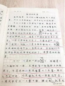 描寫(xiě)椒江中山小學(xué)校園的作文