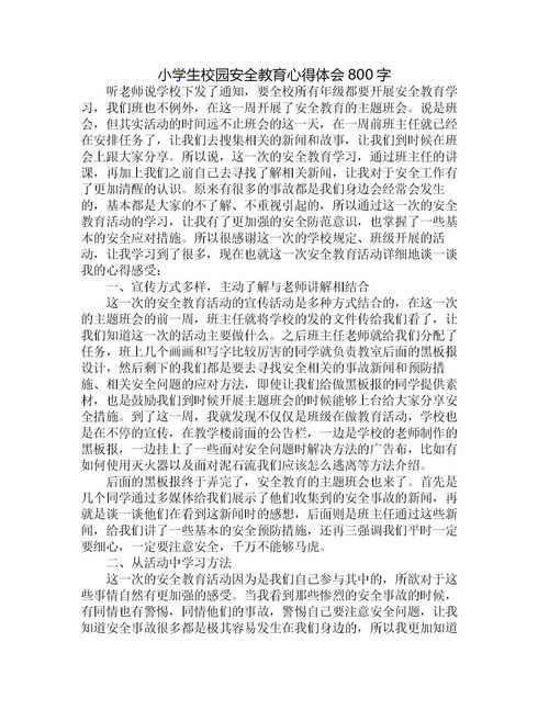 校園安全感悟作文800字高中