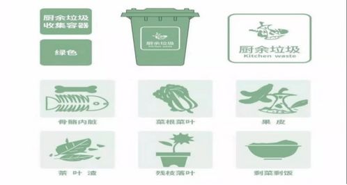 文明校園垃圾分類(lèi)作文400字