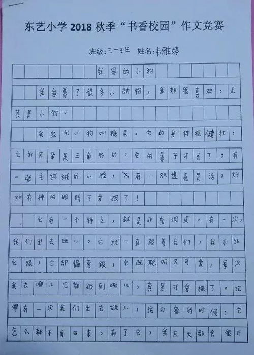 作文,校園,活動(dòng)