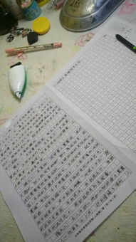 關(guān)于校園運動(dòng)會(huì )的新聞作文