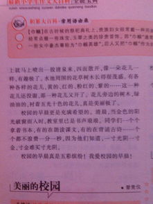 歡樂(lè )的校園作業(yè)500字作文