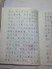 作文,一件事,最難忘,校園