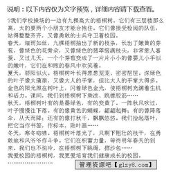 校園里的梧桐樹(shù)作文300字三年級,校園里的梧桐樹(shù)作文400字,校園里的梧桐樹(shù)作文350字左右