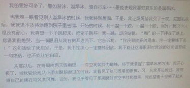 我在校園里的業(yè)余愛(ài)好作文1000