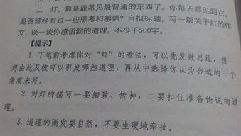 校園看燈作文600字