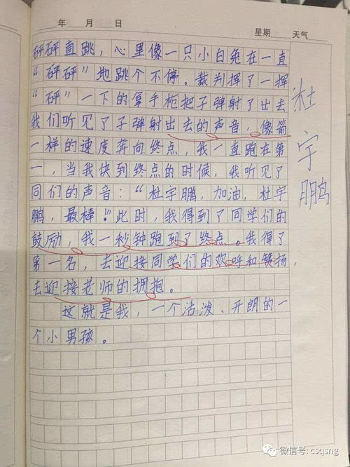 校園之樂(lè )為題的優(yōu)秀作文