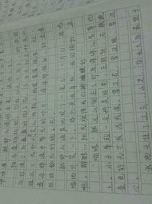夏末的校園作文150字
