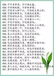 讓心靈扮靚校園作文
