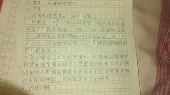有關(guān)校園的作文800敘事