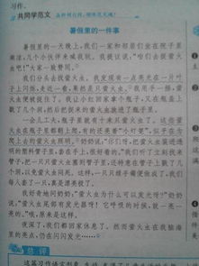 我校園的勒杜鵑作文200字