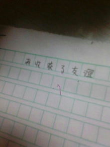 夏天校園的窗外作文600字