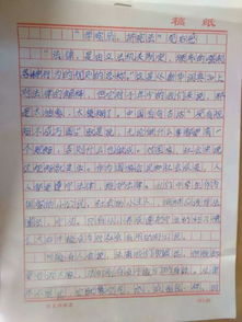 明光,作文,戲曲,實(shí)驗小學(xué)