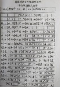 玩轉(zhuǎn)魔方作文,玩轉(zhuǎn)暑假作文,玩轉(zhuǎn)游樂場(chǎng)作文