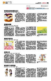 美麗的校園是我的樂(lè )園作文