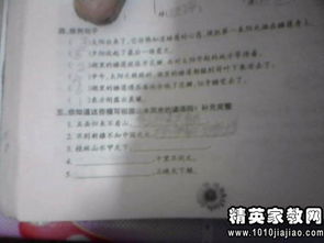 五級校園作文點(diǎn)評語(yǔ)
