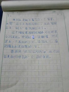寫(xiě)校園的景物作文400字四級作文