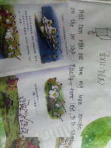 我們的校園作文描寫(xiě)建國路
