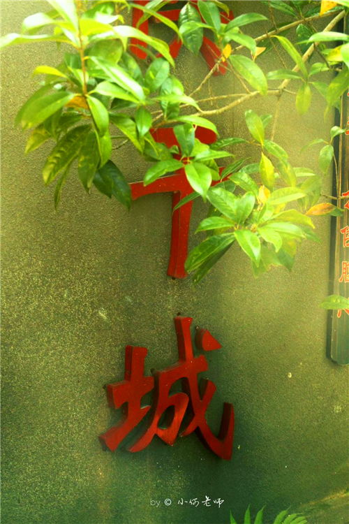作文,春色,寫(xiě)一篇,校園