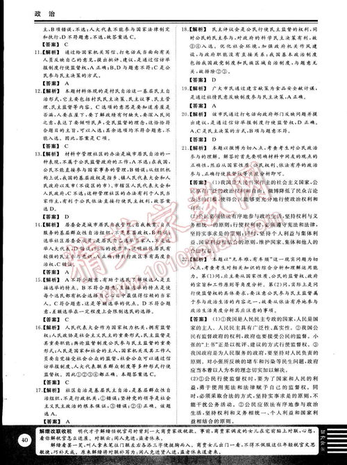 我的新校園高一作文