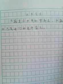 以校園為主題的作文500字,以校園安全為主題500字作文,校園生活的作文500字