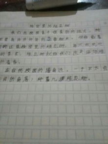 描寫(xiě)校園桂花的作文600字,描寫(xiě)校園里桂花的作文300字三年級,描寫(xiě)校園桂花的作文200字