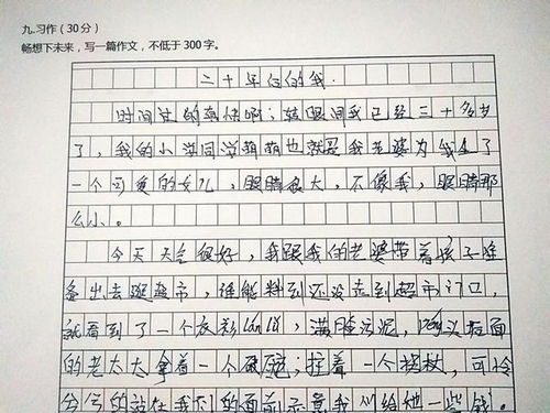 幾十后的校園作文