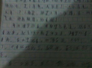作文,寫(xiě)一篇,校園,百字