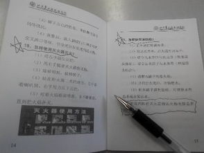 作文,心得體會(huì ),安全教育,校園