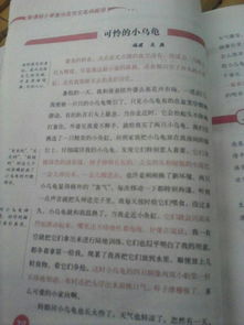 怎樣寫(xiě)校園說(shuō)明文作文