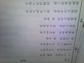 校園里的我作文六百字