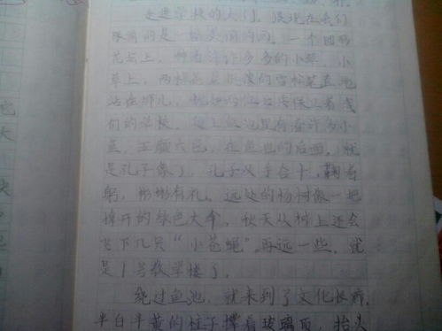 移步,作文,初中,校園