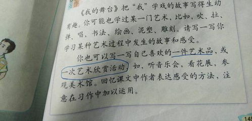 校園的一角360字左右作文