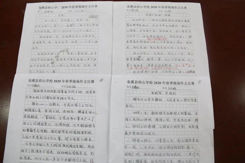 2020作文校園情