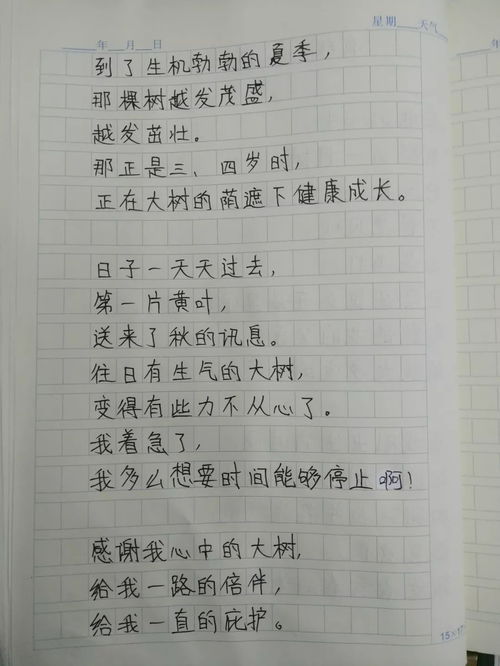 翔宇學(xué)校校園美景作文