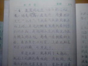 移步換景寫(xiě)校園作文500字