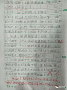 校園就是快樂(lè )作文