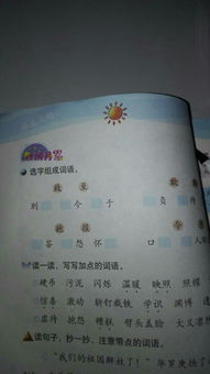 校園里的夏天作文300字,校園里的夏天作文怎么寫(xiě)?400字,校園里的夏天作文500字
