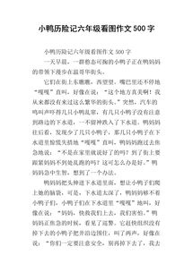 作文,校園里