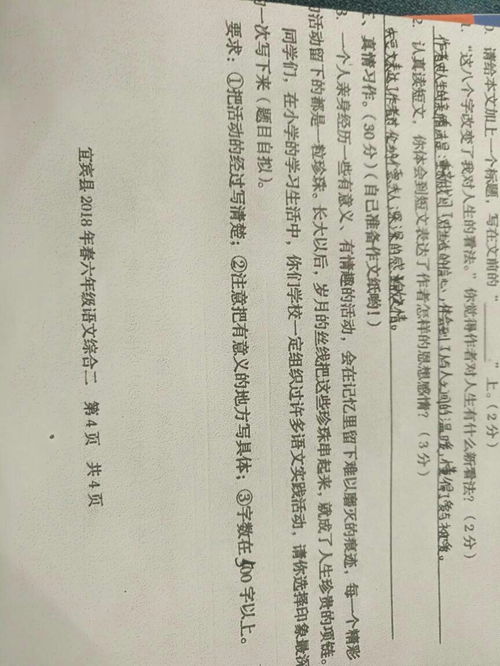 作文校園一次有趣語(yǔ)文實(shí)踐活動(dòng)作文500字