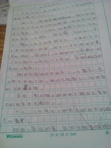 三級校園運動(dòng)會(huì )兩百字作文三級作文大全