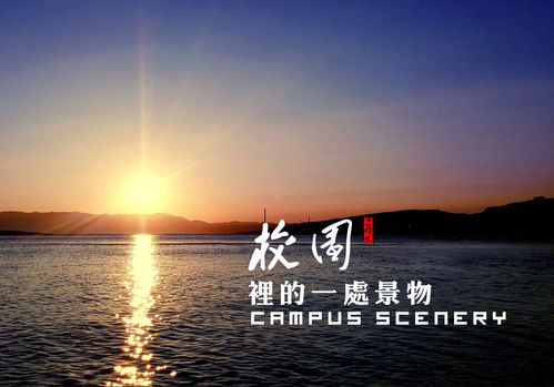 描寫(xiě)校園的秋天景色300字以上,描寫(xiě)校園一處景色的作文300字,校園秋天的景色作文300字