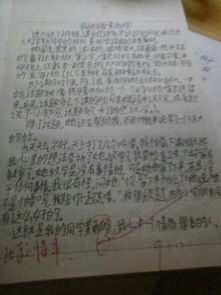 綻放600字作文校園生活